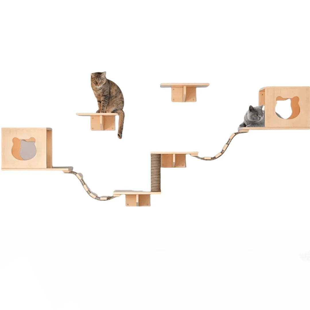 猫墙家具（模块化壁挂攀爬系统）